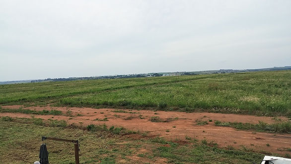 ComViva Paulínia.jpg