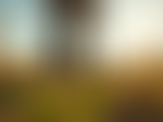 Empowering Individuals with Disabilities in Agriculture