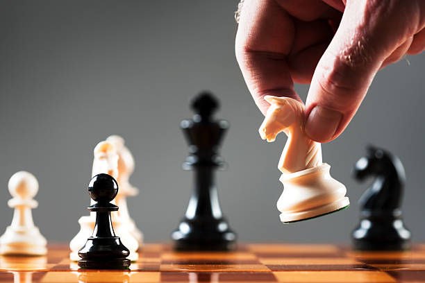 Business Growth Consultant