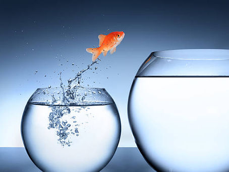How to Scale a Small Business with Expert Consulting: A Step-by-Step Guide