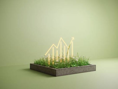 Pricing Strategies for Profit: What Adelaide Firms Must Know