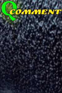 qcomment-200-300-1.gif