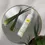 תמונה ממוזערת: pjur Woman Aloe • פיור וומן אלו: לוב מרגיע ומטפח, עם תמצית אלוורה (2 גדלים)