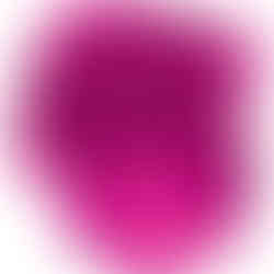 Satisfyer Pro 2 Modern Blossom