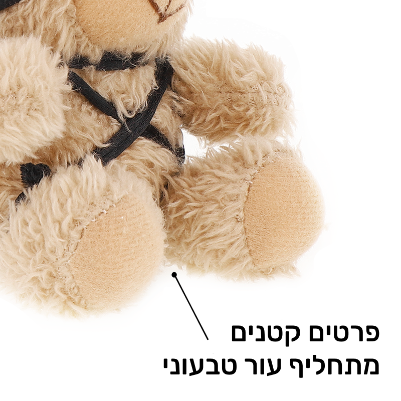 תמונה ממוזערת: Fetish Submissive Rebel: Winnie Bear • בובה/מחזיק מפתחות דובי קינק: וויני חבלים