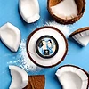 Coconut.jpg