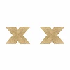 FLASH-Cross-Nipple-Pasties-Bijoux-Indiscrets-5_700x.webp