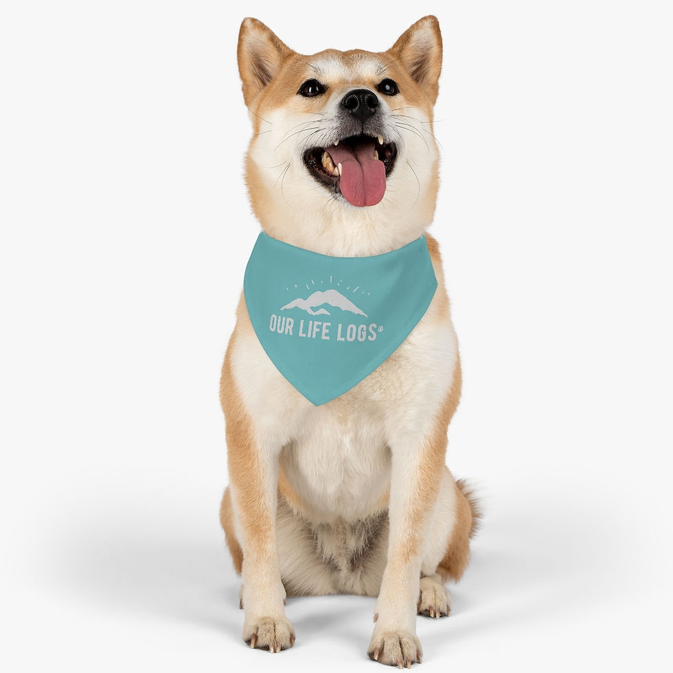 Thumbnail: Pet Bandana Collar