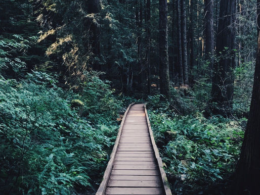 Leaving Behind My Secret