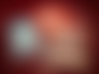 Week 4 - Invade Your Library, Feminism & Make Do and Mend.