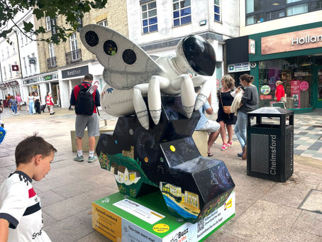 🐝 Buzz in the City Takes Off in Chelmsford! 🐝
