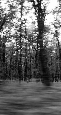 _IMG3270.jpg