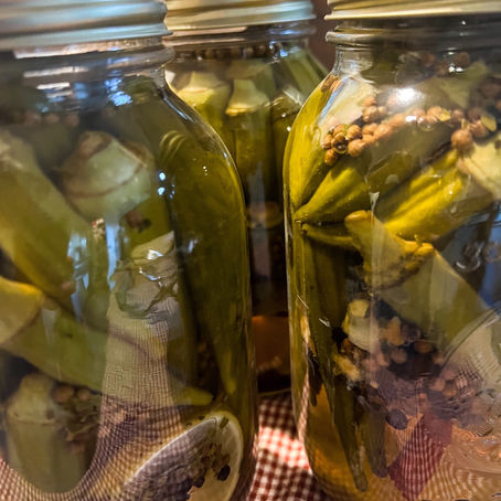 PICKLED OKRA- easy!