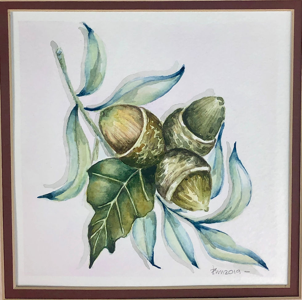 Home acorns
