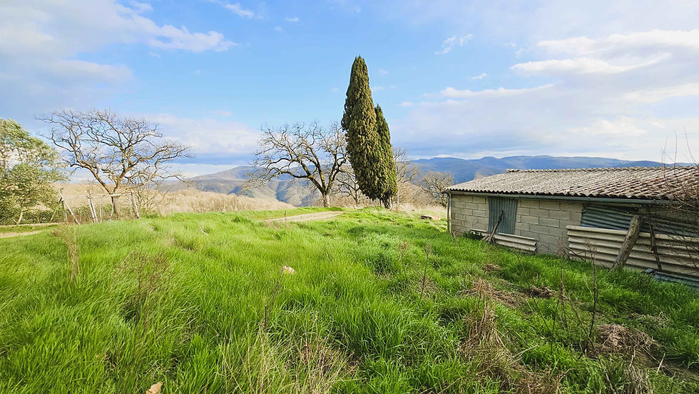 Miniatura: Casale di 200 mq con annessi e 15 ettari di terreno