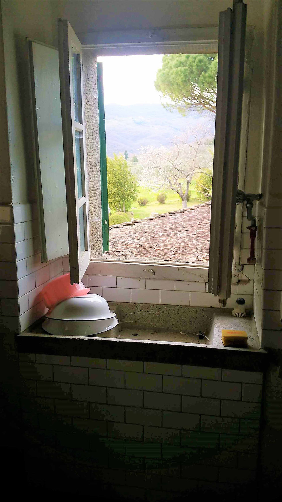 Miniatura: 2 Casali in pietra con terreno circostante