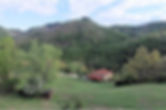 Azienda Agricola con 10 ettari di Terreno
