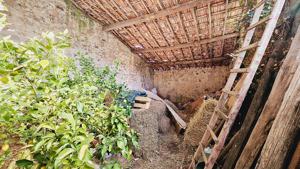 Miniatura: Porzione di Casale in pietra con terreno agricolo