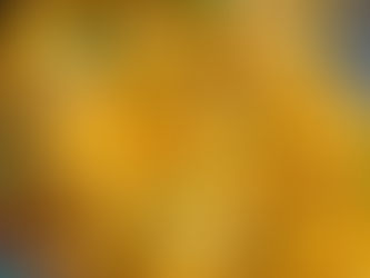 tofu in peanut butter sauce (vegan)