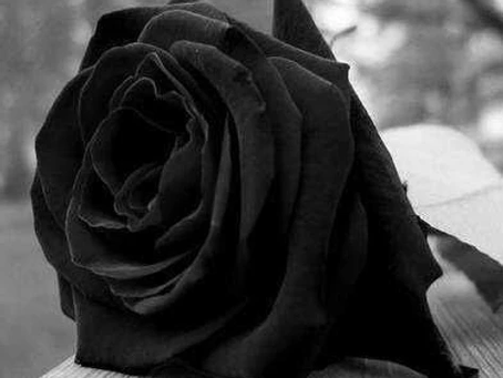 Tenente Portela - Nota de Falecimento