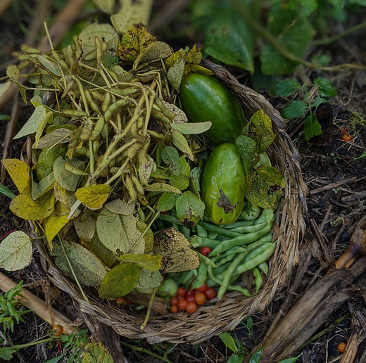 farm to plate arunachal.jpg