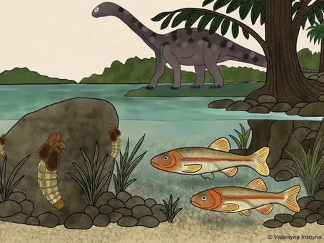 The Oldest Fly in the World Unveils Evolution Secrets! 🦟