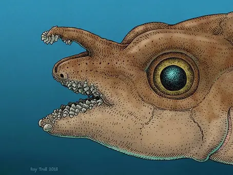 Fish Grows Real Teeth on Its Head! 🦷