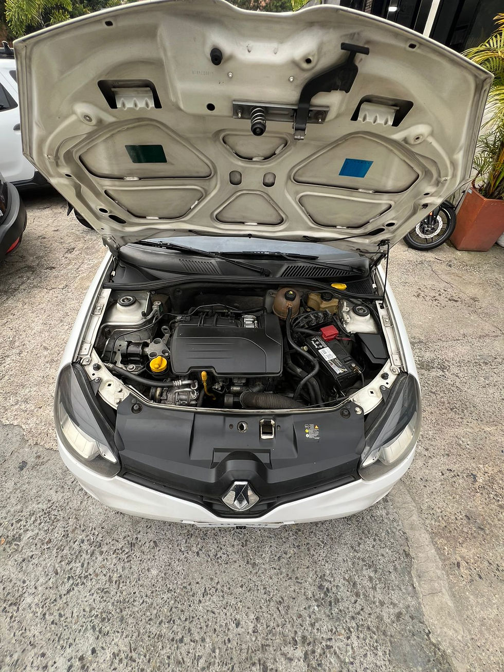 Miniatura: RENAULT CLIO STYLE