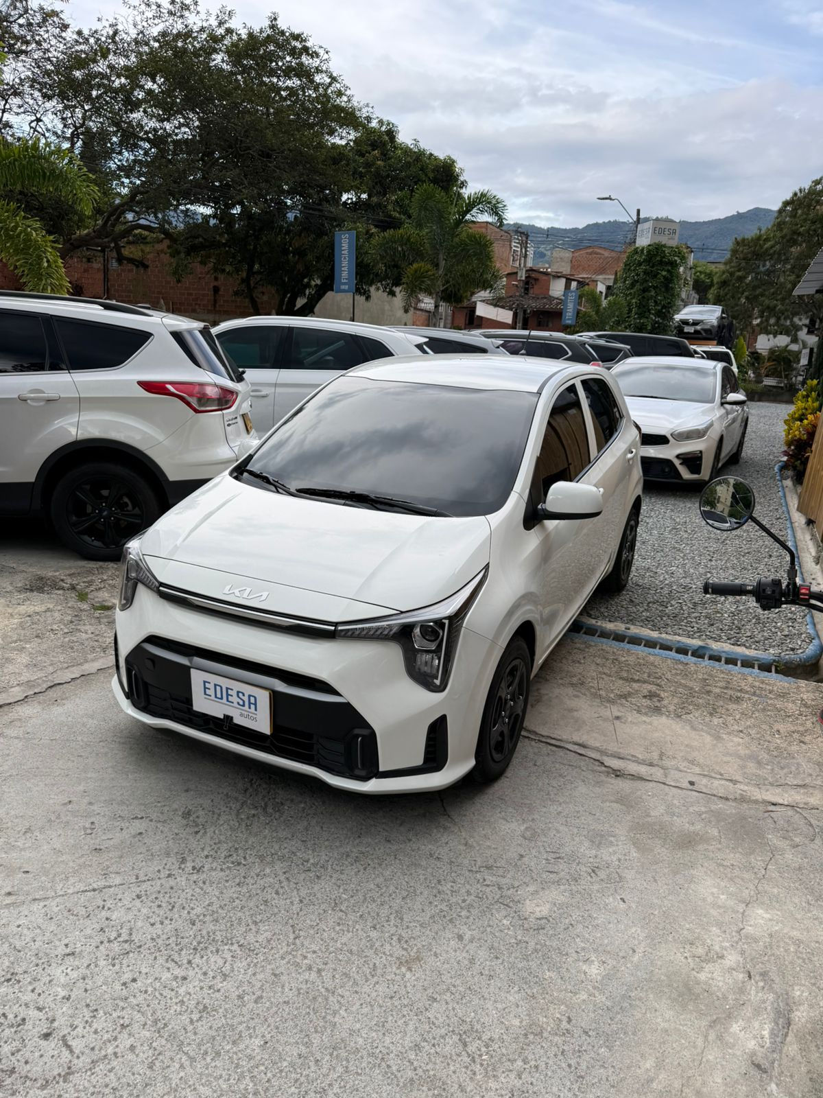 KIA PICANTO VIBRANT