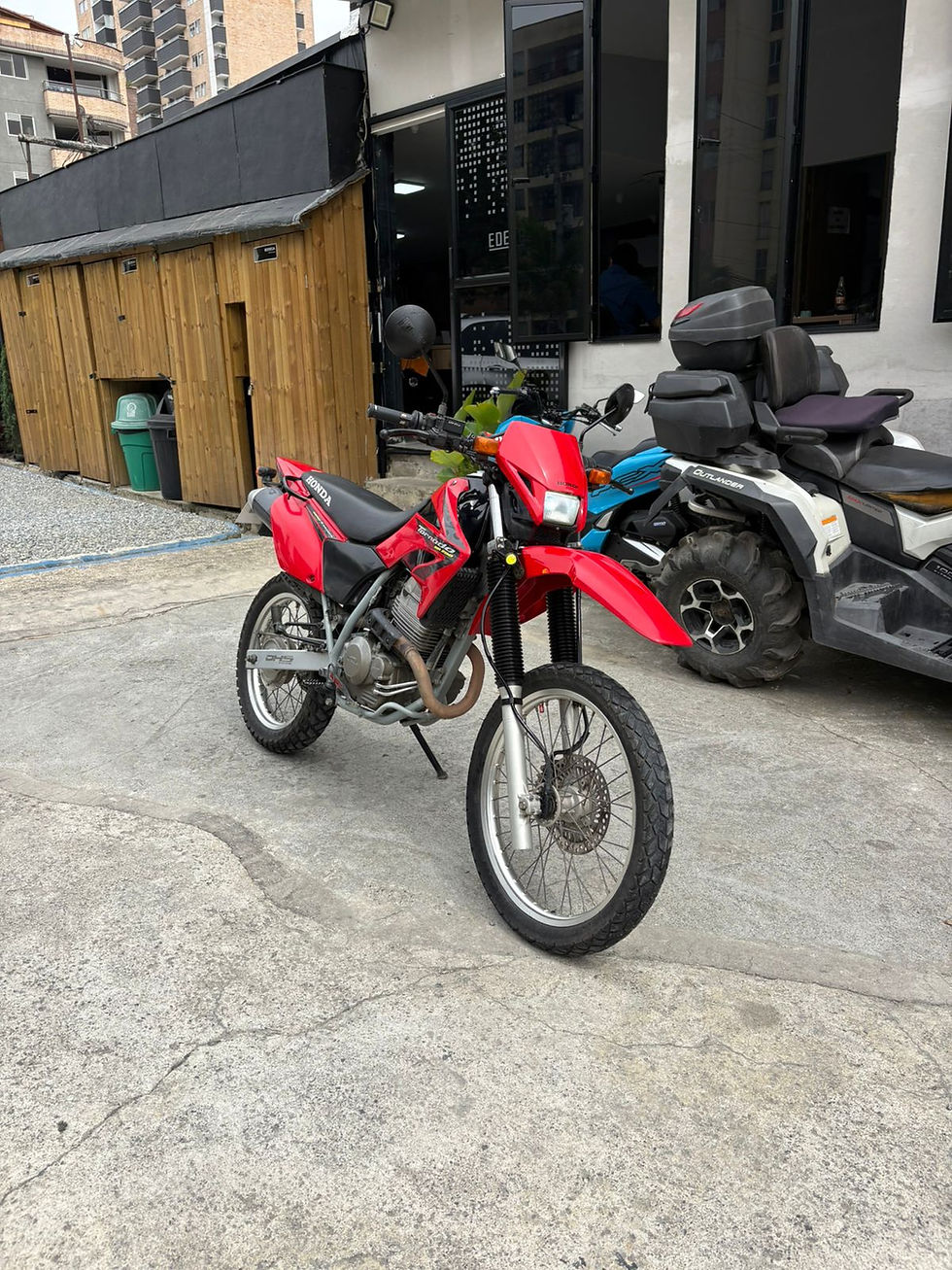 Miniatura: HONDA XR 250 TORNADO