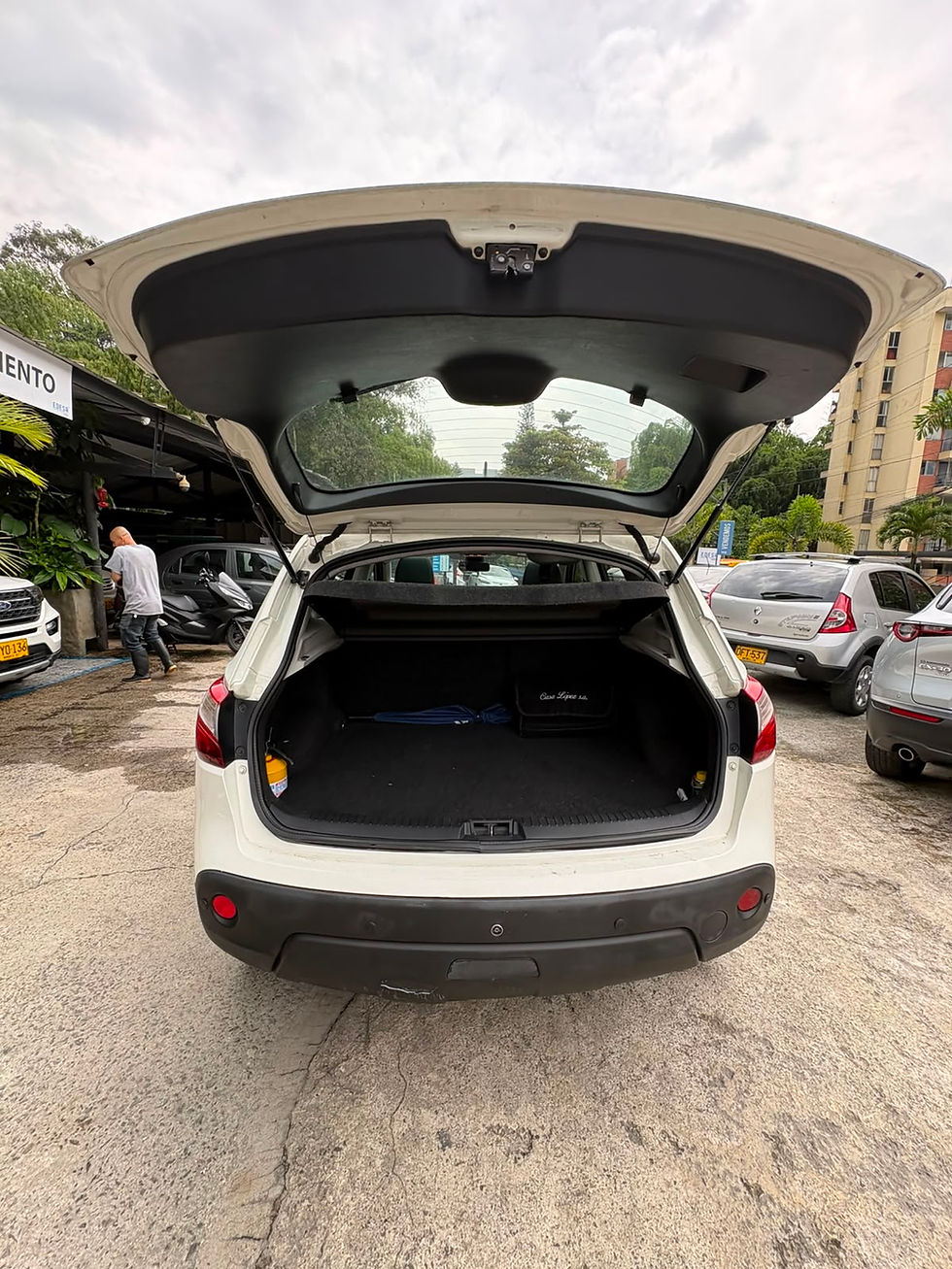 Miniatura: NISSAN QASHQAI ADVANCE