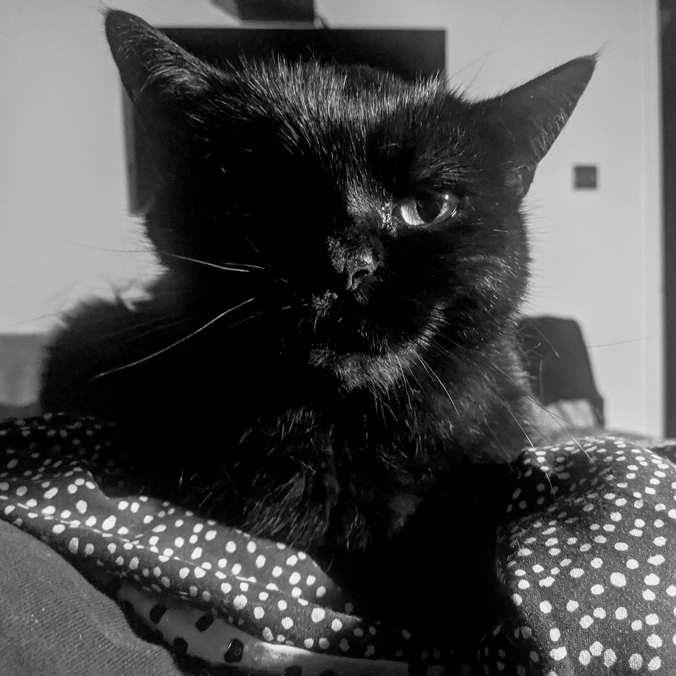 Kiara