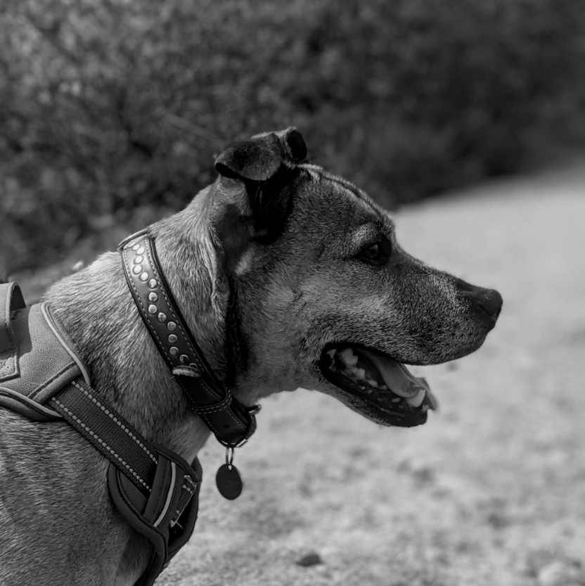 Oscar