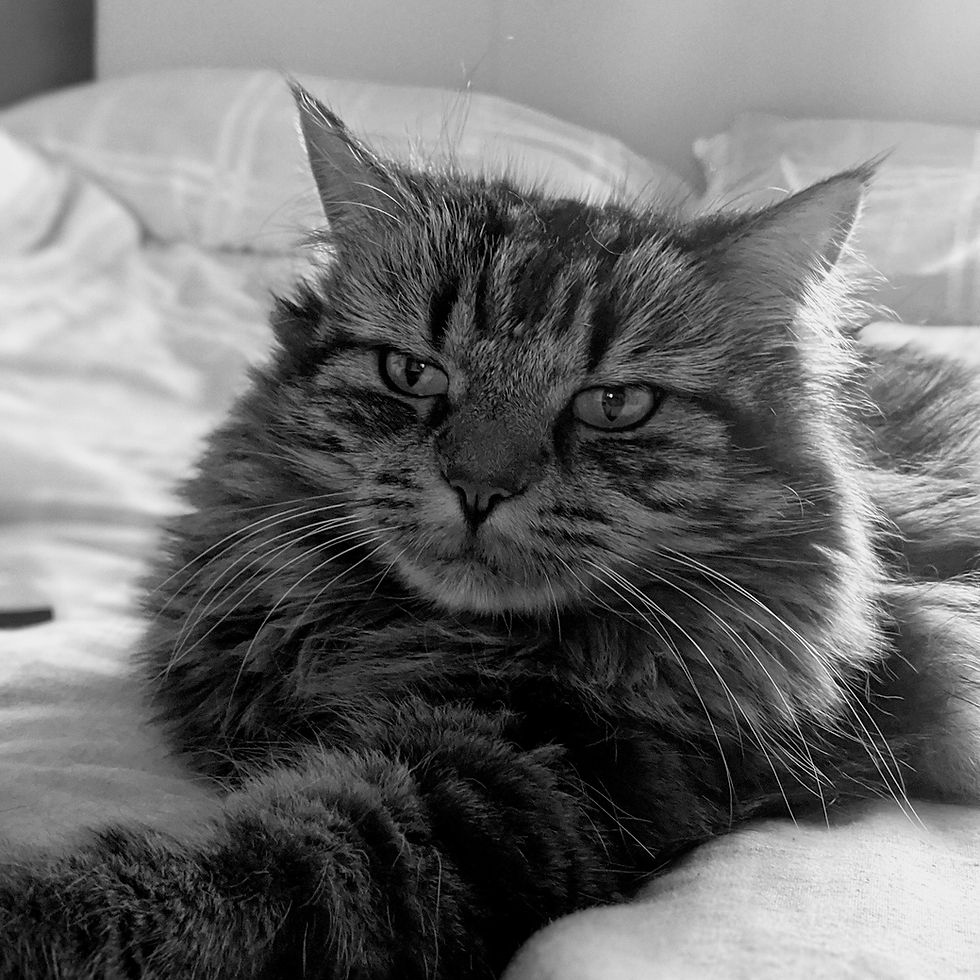 Angel