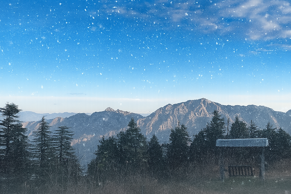 Winters in Mashobra: Snowfall, Serenity & The Perfect Luxury Winter Getaway