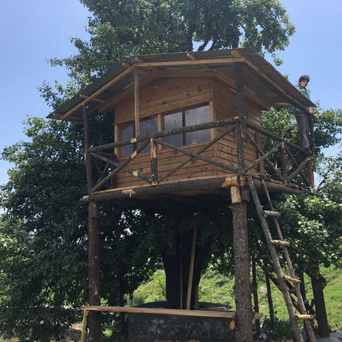 Rustic tree house for kids at daojidhaar estate