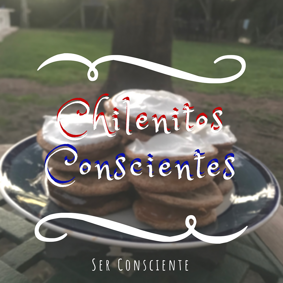 Chilenitos Conscientes