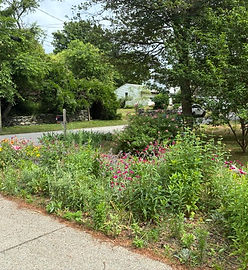 Balcom Ave