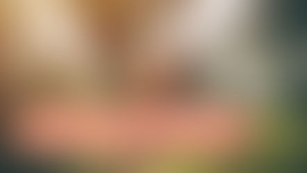 Ein Grund zum Feiern: Der Tag des Wanderns mit Meet5