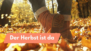 Gemeinsam mit Meet5 den Herbst genießen 