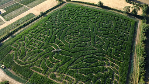 DJI_0268_edited.jpg