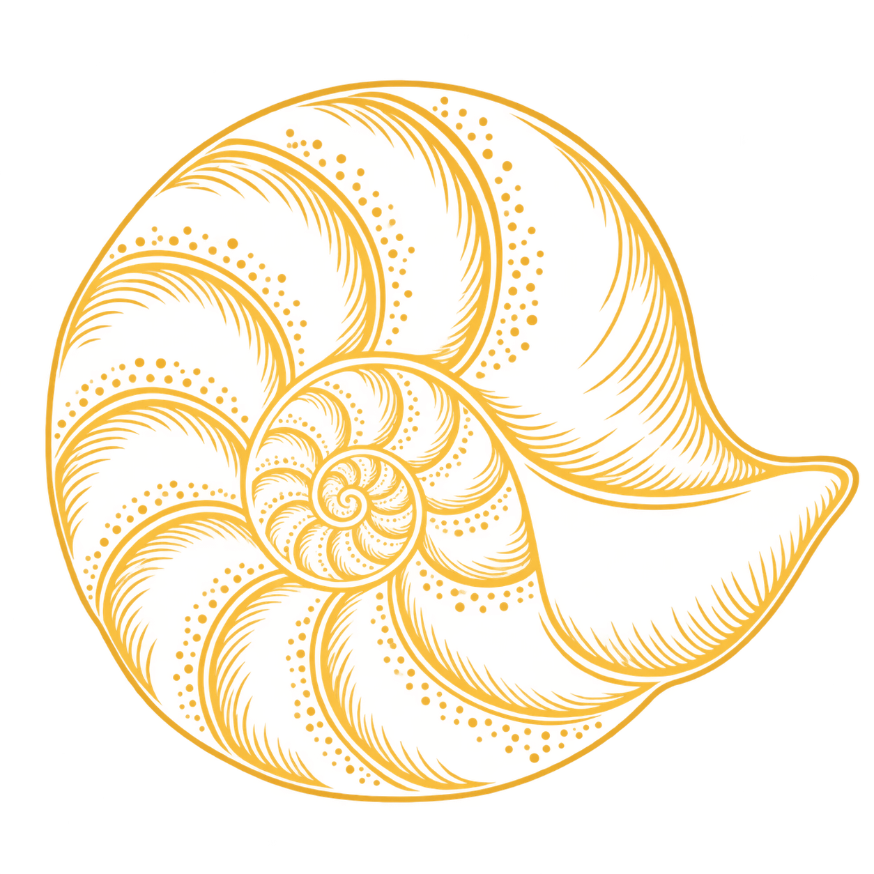 Annika Hurwitt PhD Shell 1 in Yellow.png