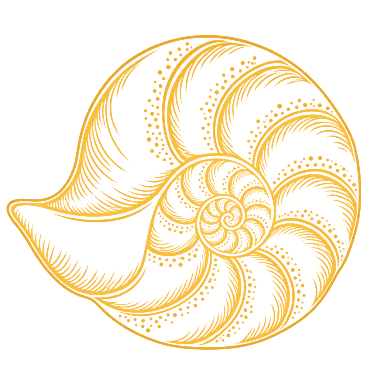 Annika Hurwitt PhD Shell 1 in Yellow.png