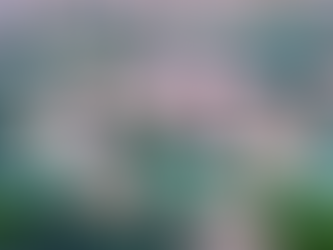 Grow Your Network: Join The Lotus Programme Events