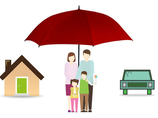 Life Insurance: Whole Life and Term Plan