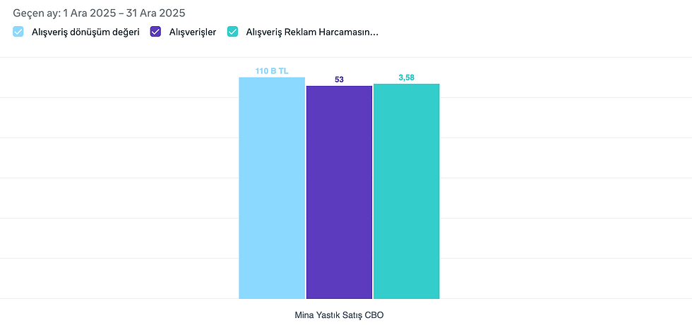Aralık Ayı Mina Yastık Satış Verileri (Meta)