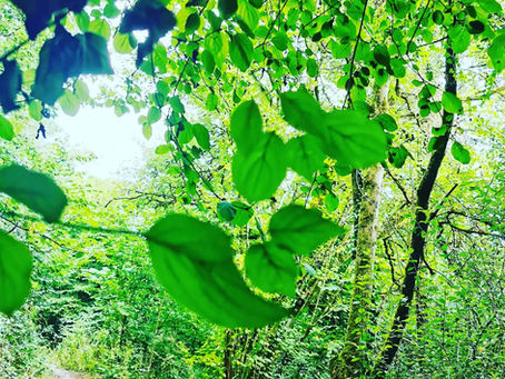 The Essence Of Magic – The Magic of Words 
“Words create a spell so choose them well