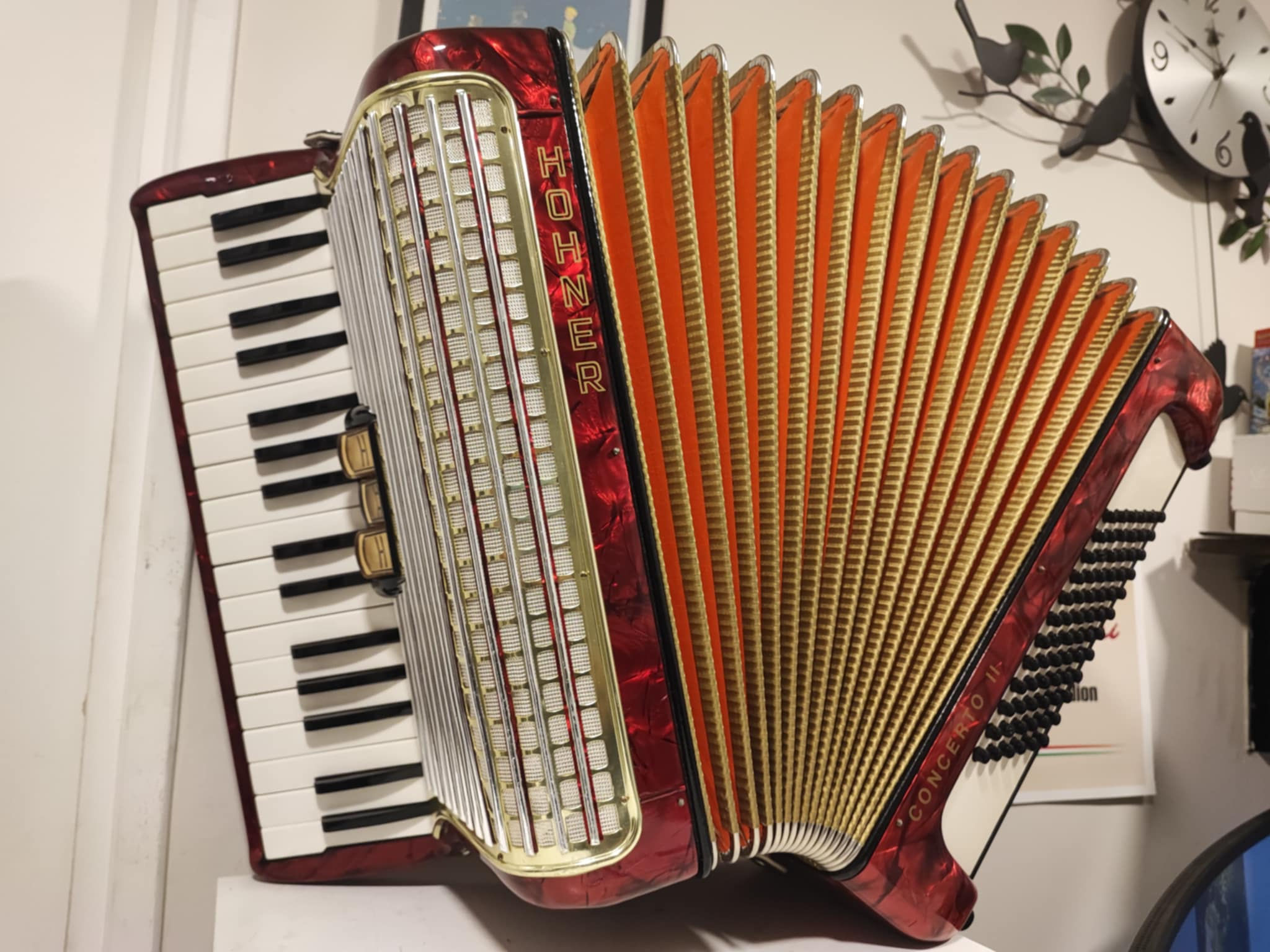 🇩🇪Acordeón Hohner Concerto II, 72 bajos.