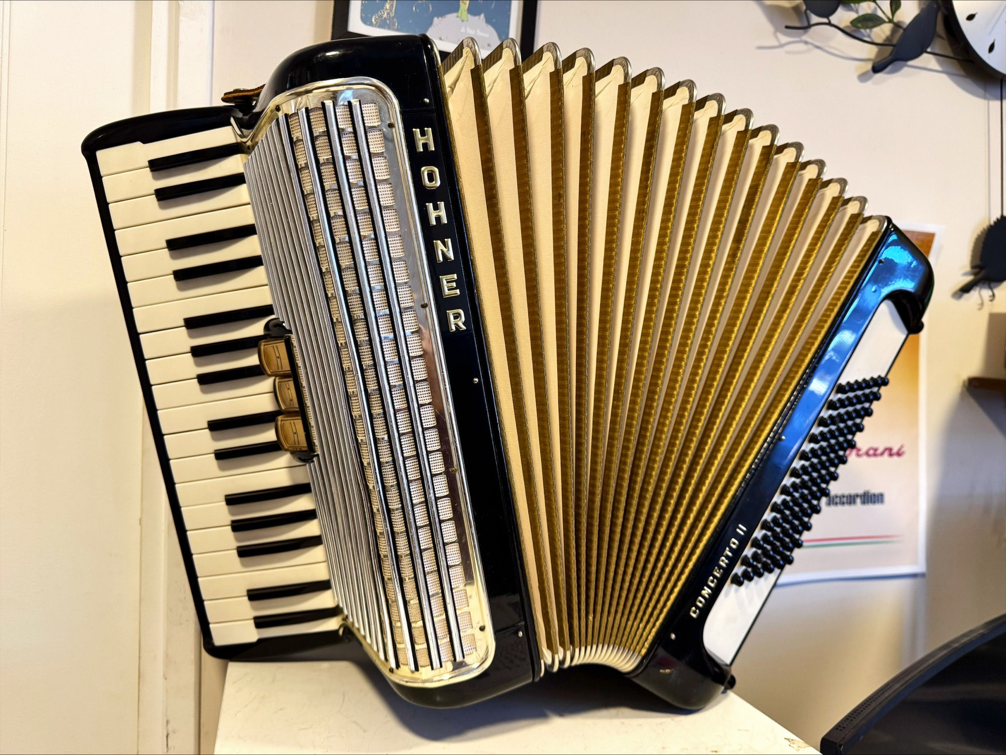 🇩🇪Acordeón Alemán Hohner Concerto II  , 72 bajos