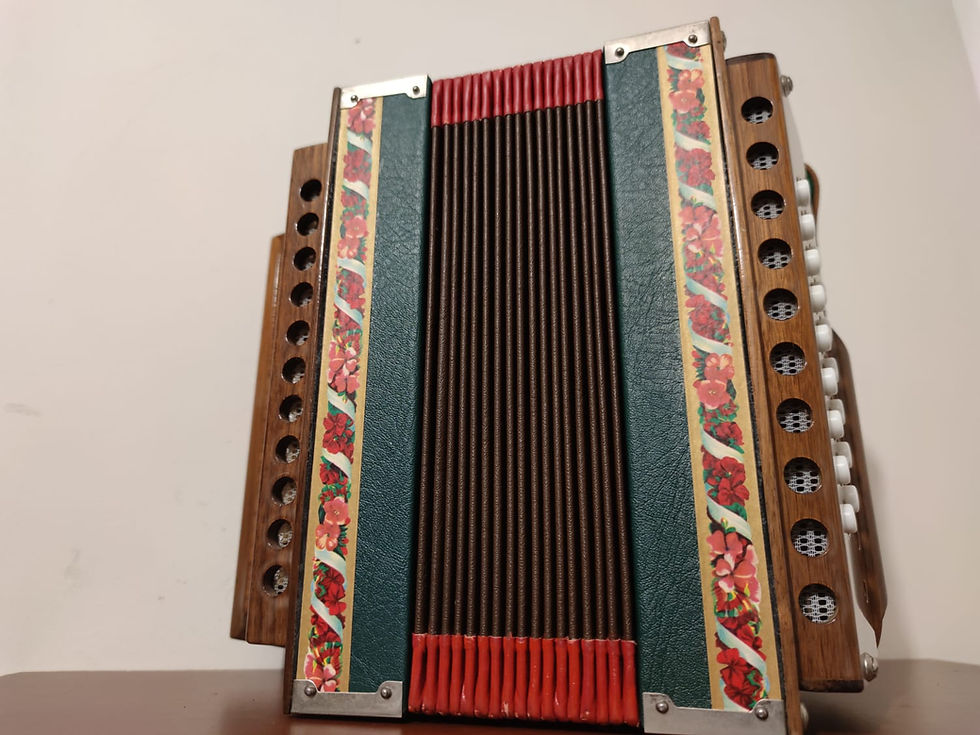 Miniatura: 🇮🇹Acordeón Italiano Diatónico B/Eb